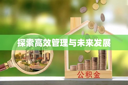 宽甸探索高效管理与未来发展