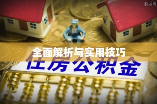 宽甸全面解析与实用技巧
