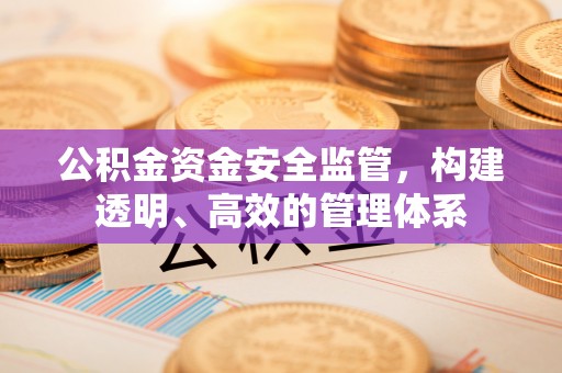 宽甸公积金资金安全监管，构建透明、高效的管理体系