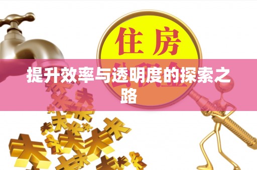 宽甸提升效率与透明度的探索之路