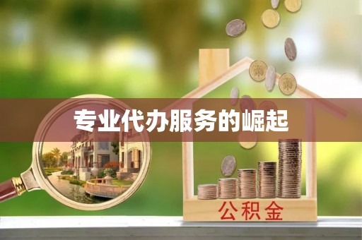 宽甸专业代办服务的崛起
