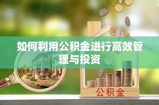 宽甸如何利用公积金进行高效管理与投资