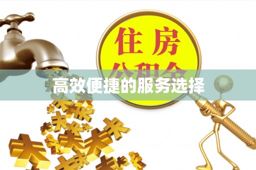宽甸高效便捷的服务选择