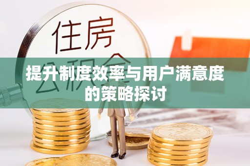 宽甸提升制度效率与用户满意度的策略探讨